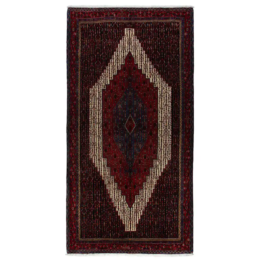 Persisk Matta Arkiio Senneh 161x328