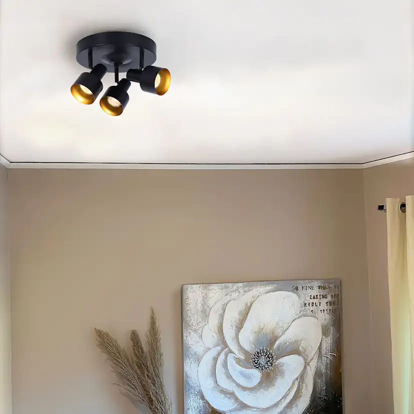 Spotlights Aneta Ferdinand 3:a