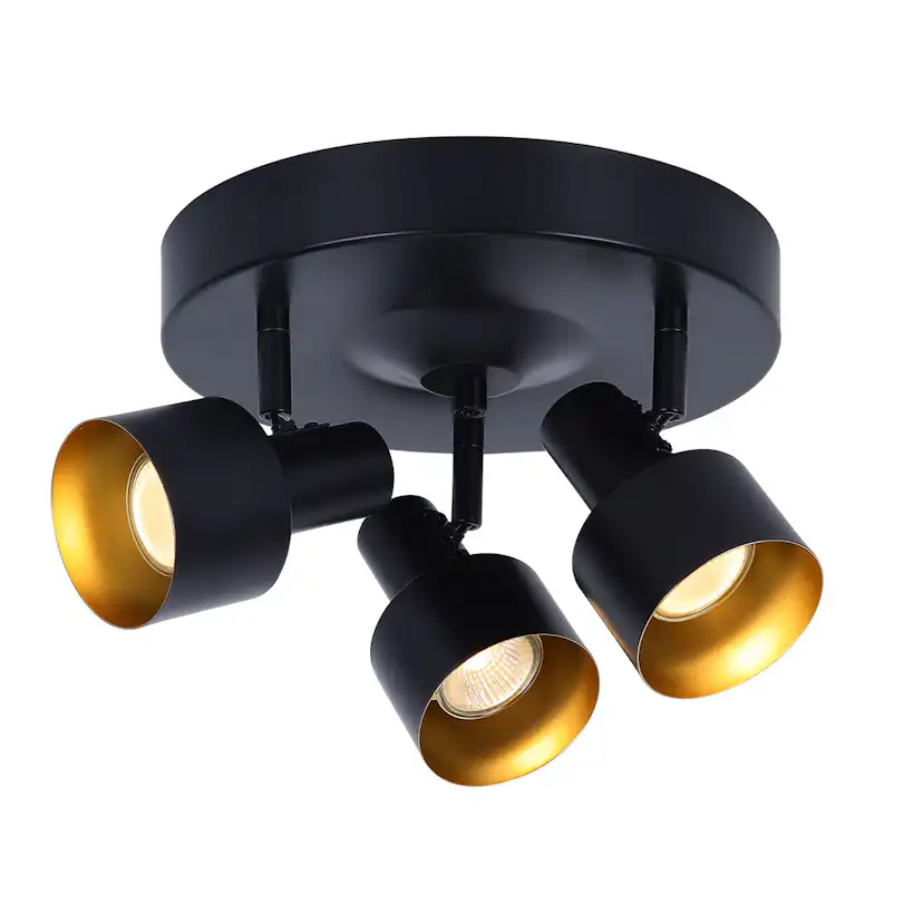 Spotlights Aneta Ferdinand 3:a