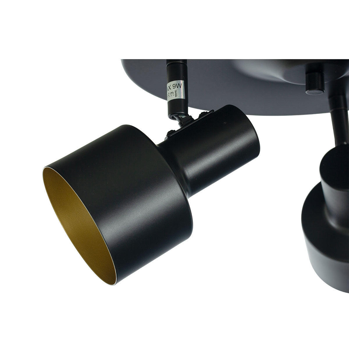 Spotlights Aneta Ferdinand 3:a