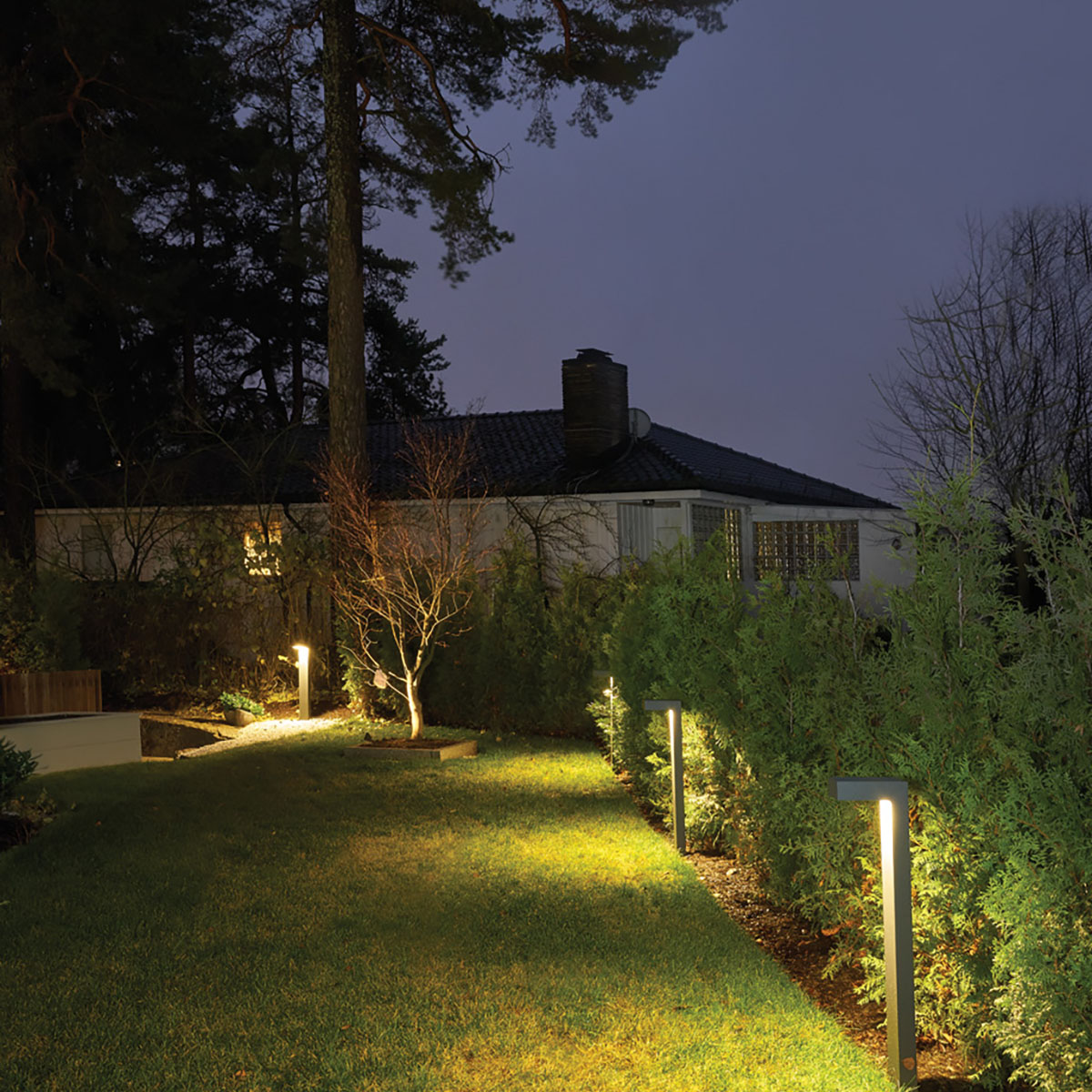 Pollare Norlys Asker 1310