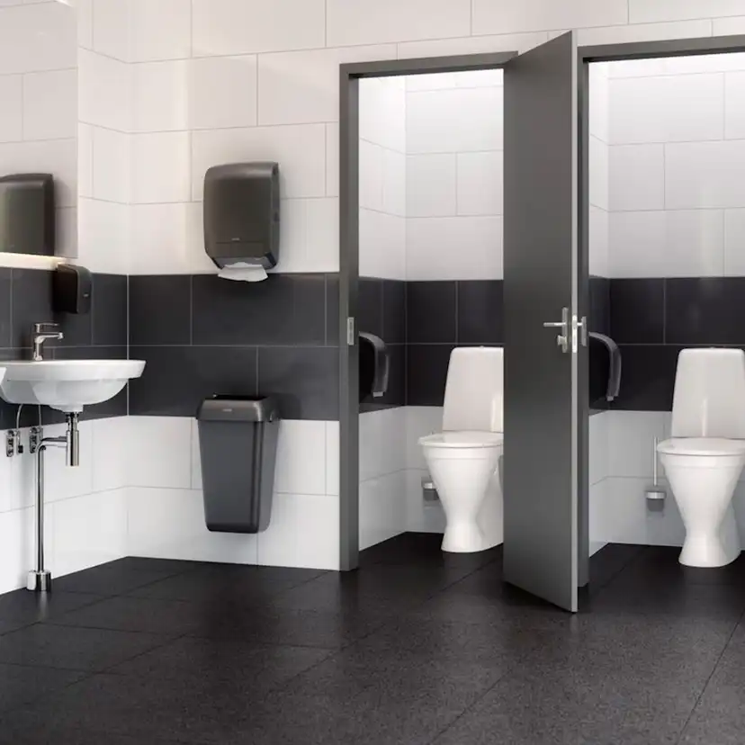 Toalettstol Gustavsberg Public 6600 C+ Hygienic Flush