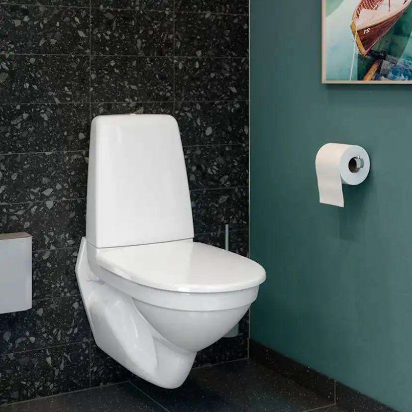 Vägghängd Toalettstol Gustavsberg Public 6600 C+ Hygienic Flush