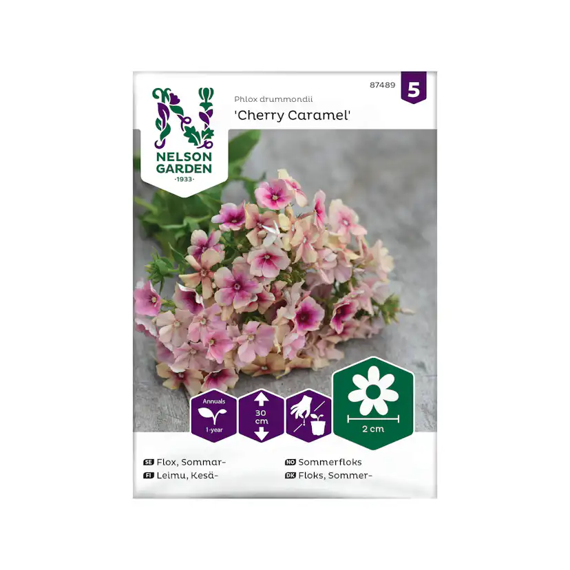 Frö Sommarflox Nelson Garden Cherry Caramel