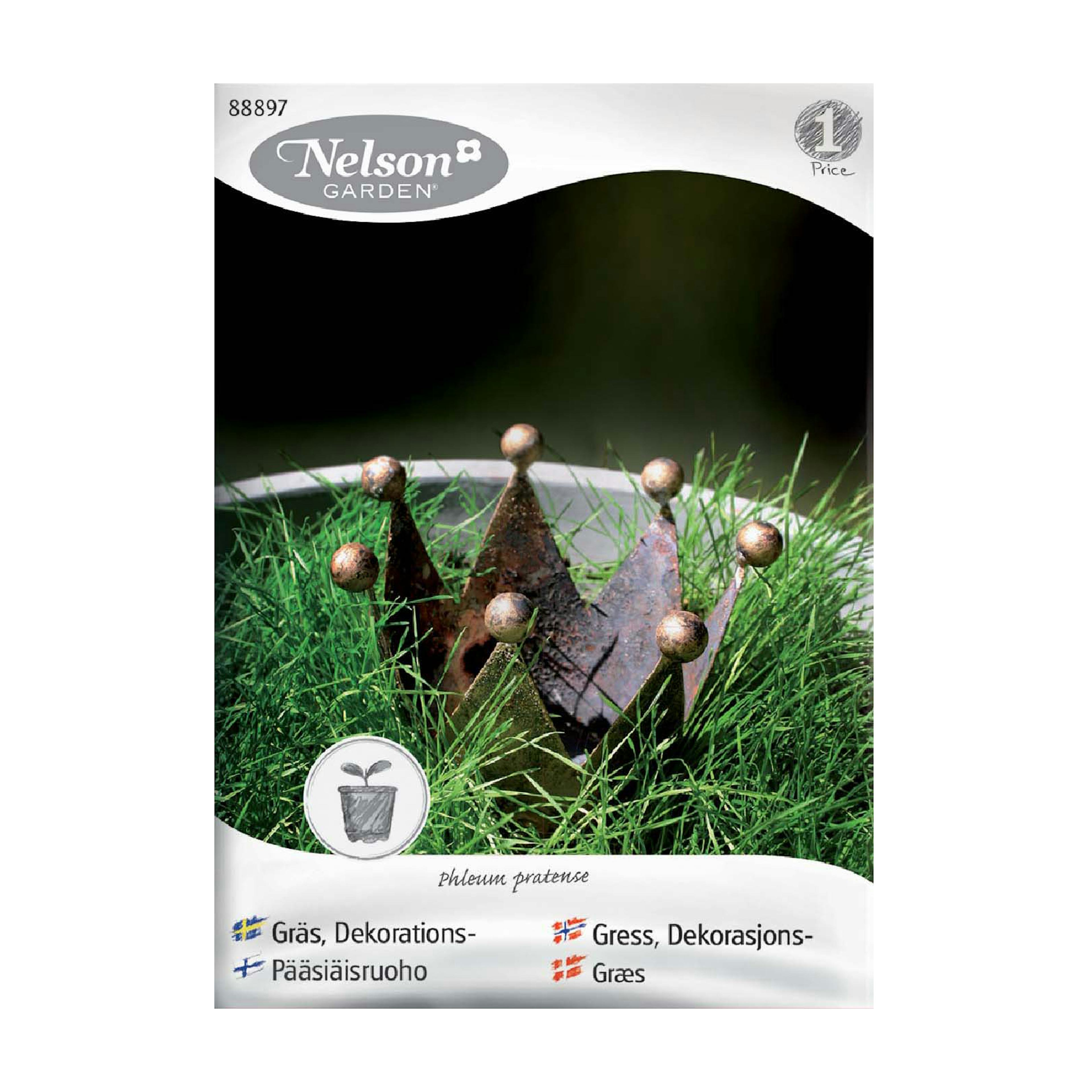 Frö Dekorationsgräs Nelson Garden Inomhus