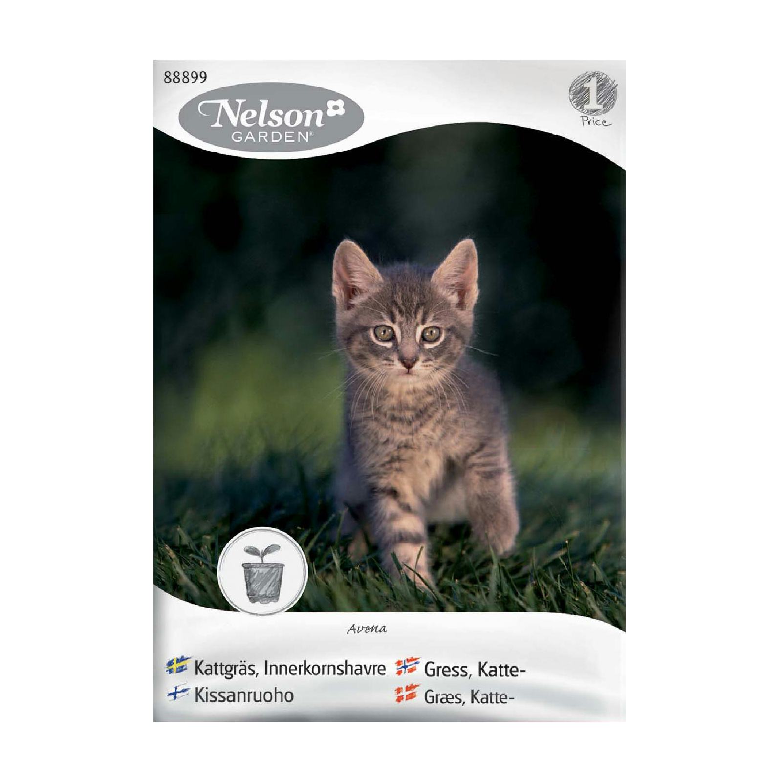 Frö Kattgräs Nelson Garden