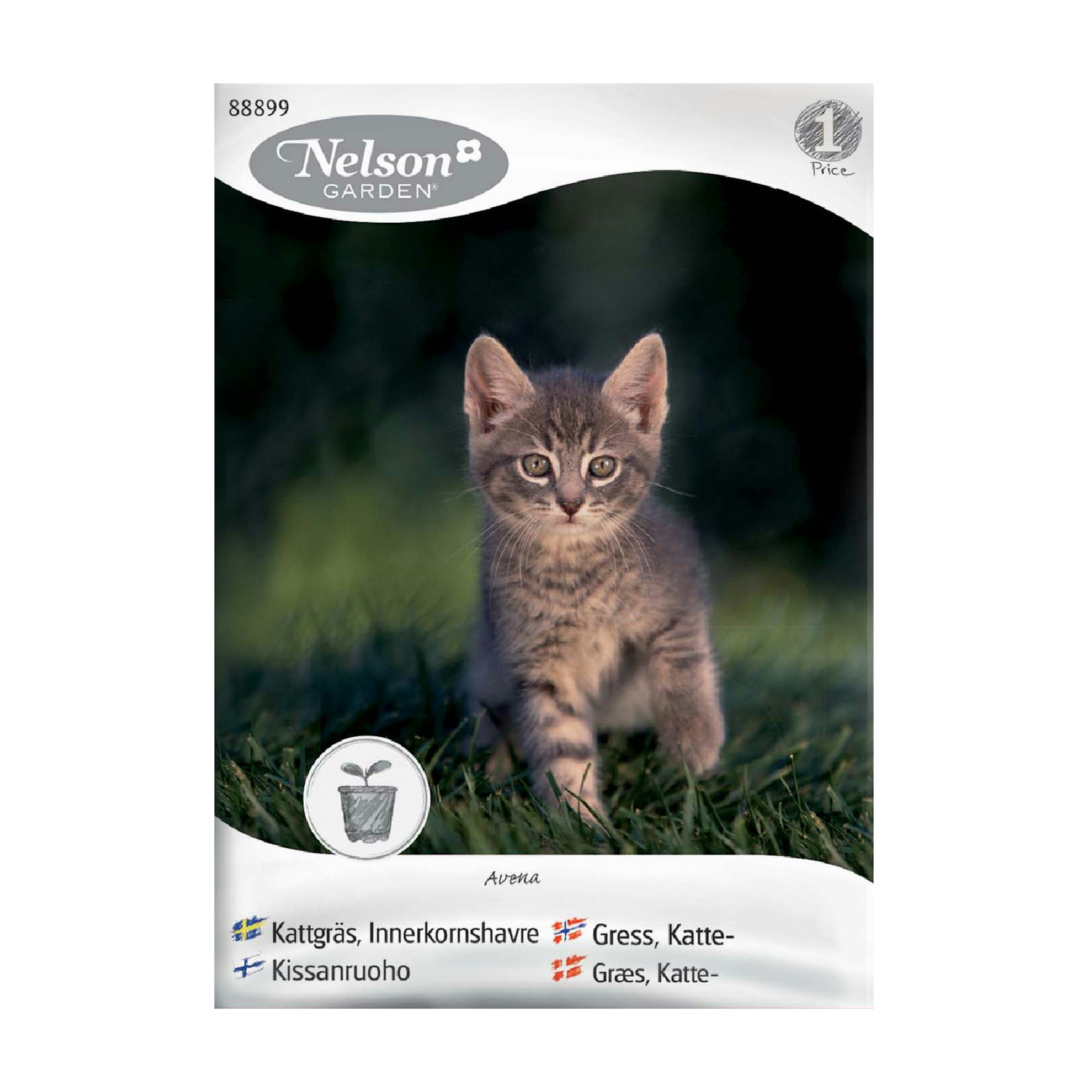 Frö Kattgräs Nelson Garden