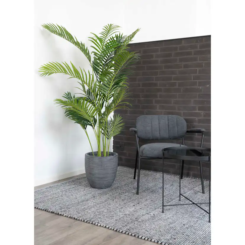 Konstväxt House Nordic Areca 175 cm