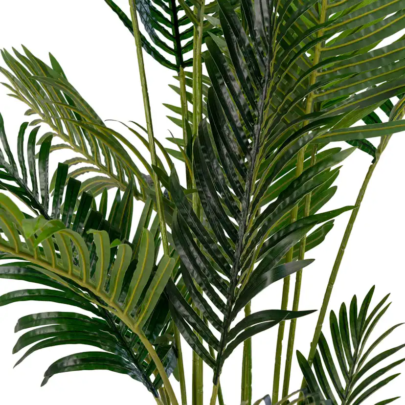 Konstväxt House Nordic Areca 175 cm