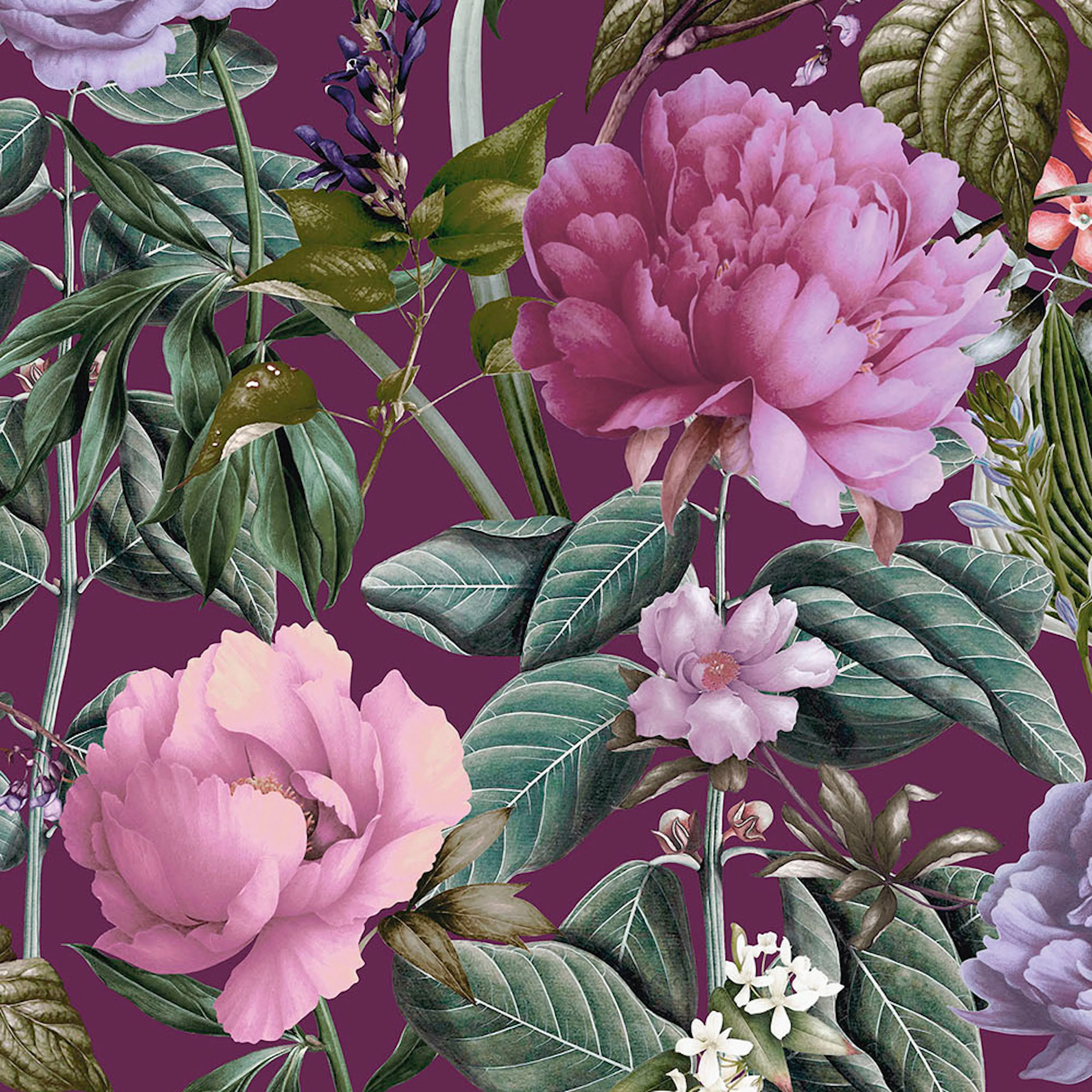 Tapet Holden Utopia II Botanicus Berry 99428