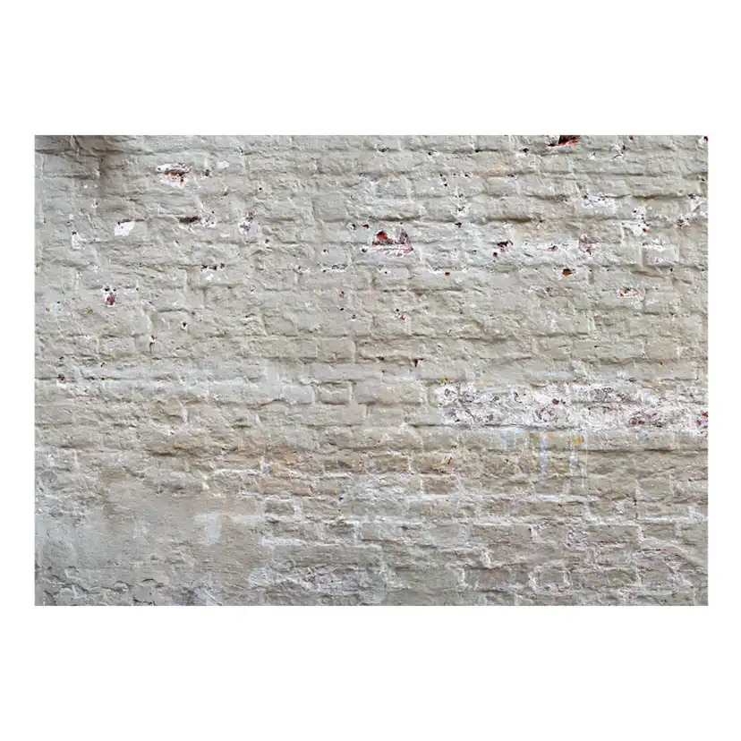 Fototapet Arkiio Hidden Harmony