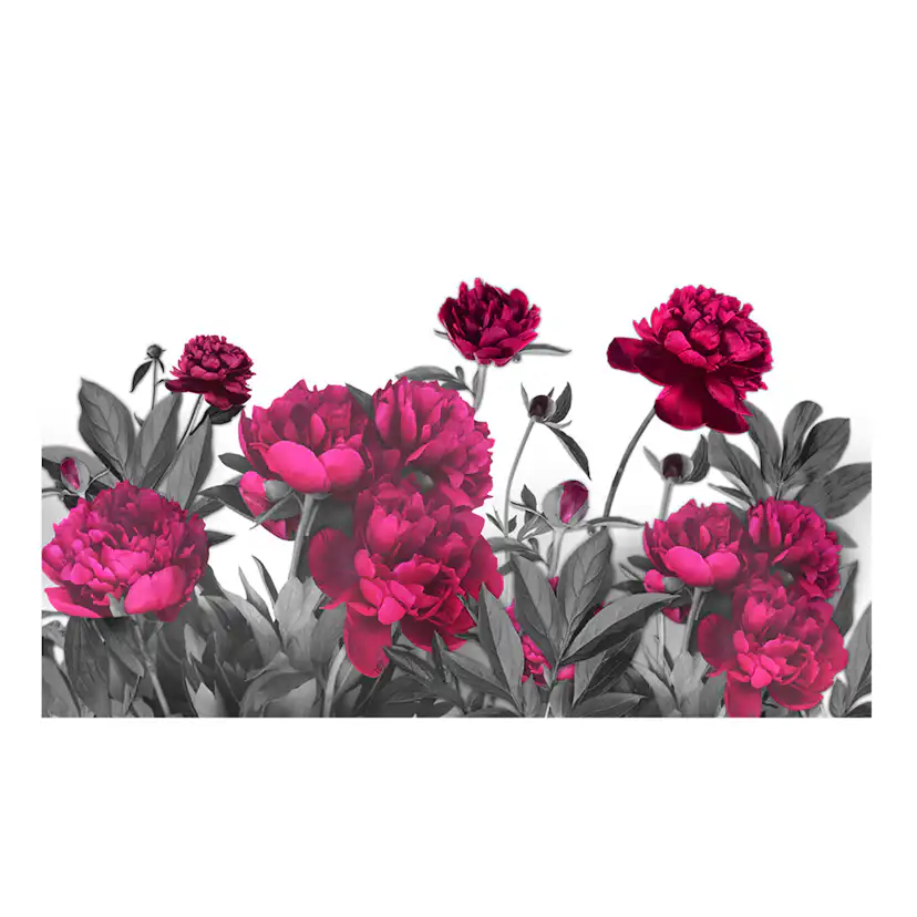 Fototapet XXL Arkiio Lush meadow 500x280 cm