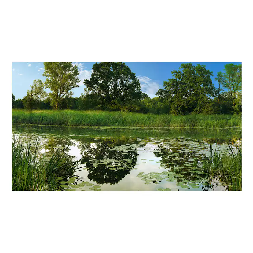 Fototapet XXL Arkiio The Magic Pond II