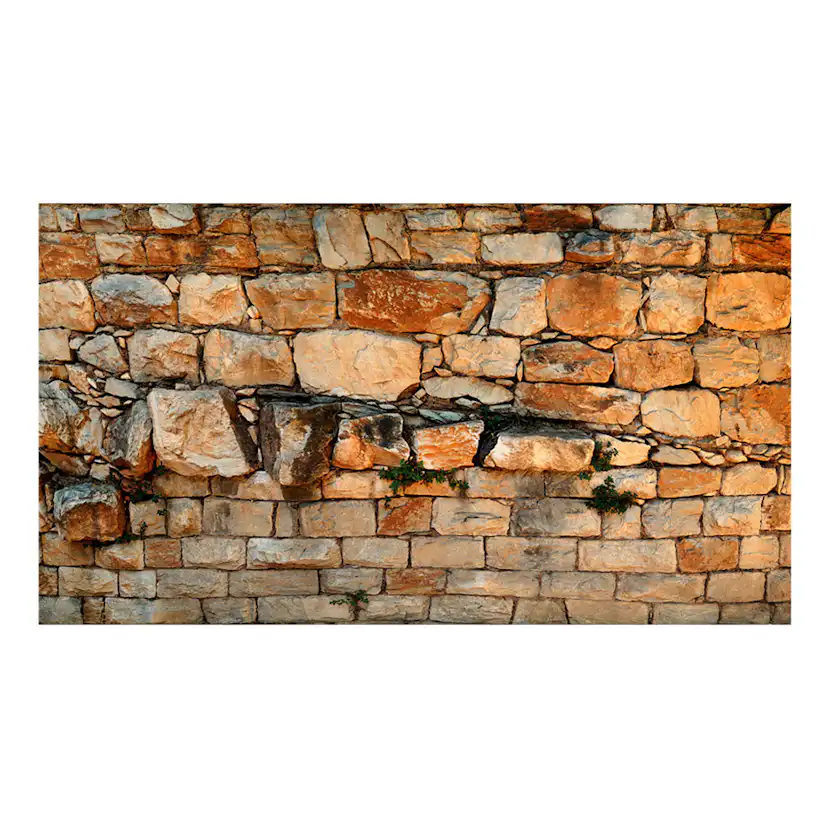 Fototapet XXL Arkiio Prelude of the Day II 500x280 cm