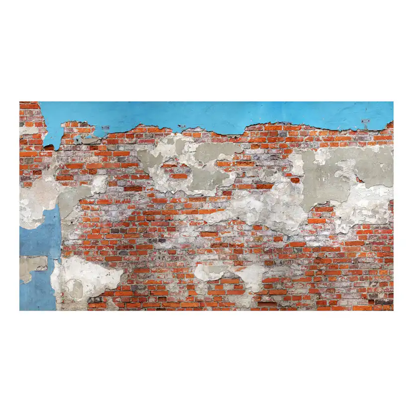 Fototapet Arkiio Självhäftande Secrets Of The Wall II 490x280