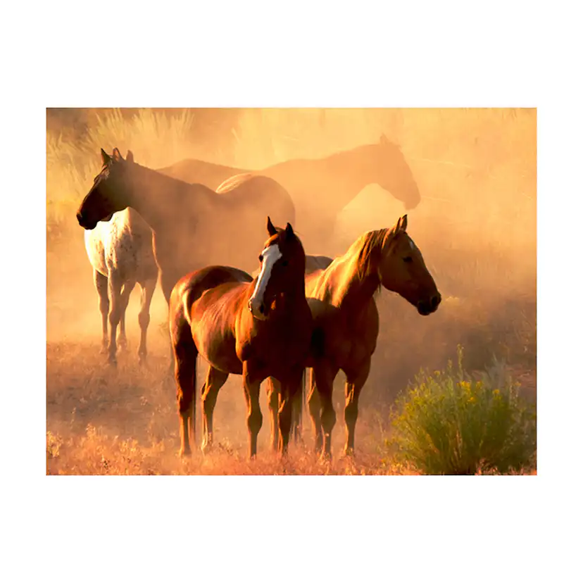 Fototapet Arkiio Vilda Hästar Stäppen