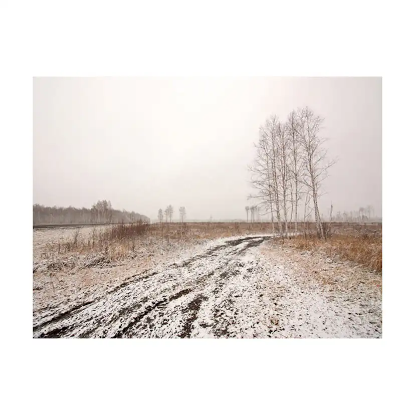 Fototapet Arkiio Winter Field
