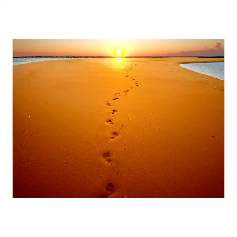 Fototapet Arkiio Fotspår I Sanden