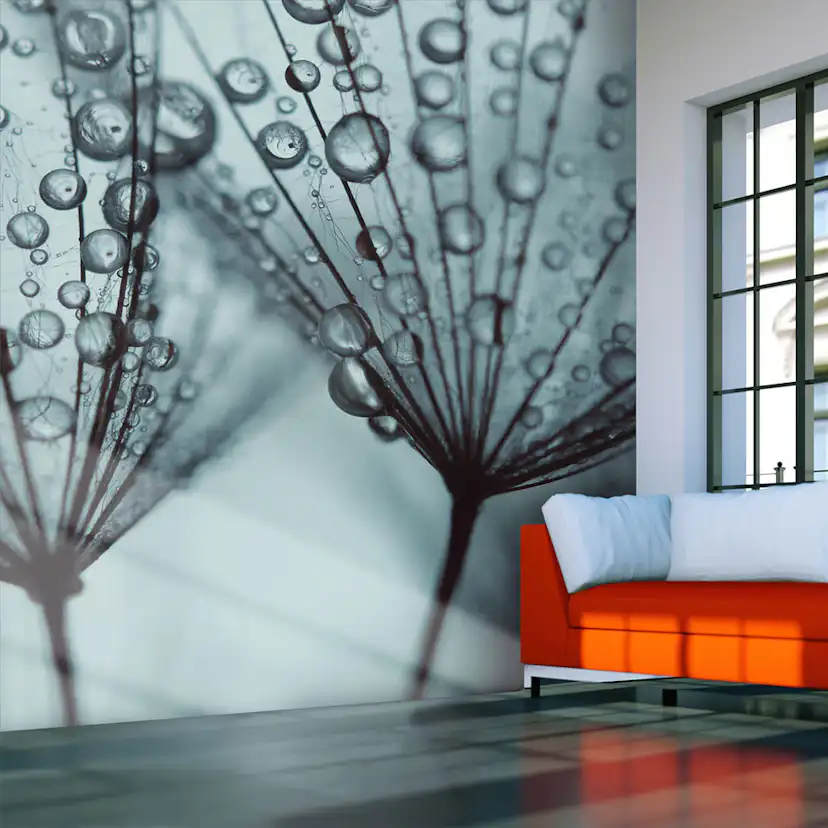 Fototapet Arkiio Turkos Maskros