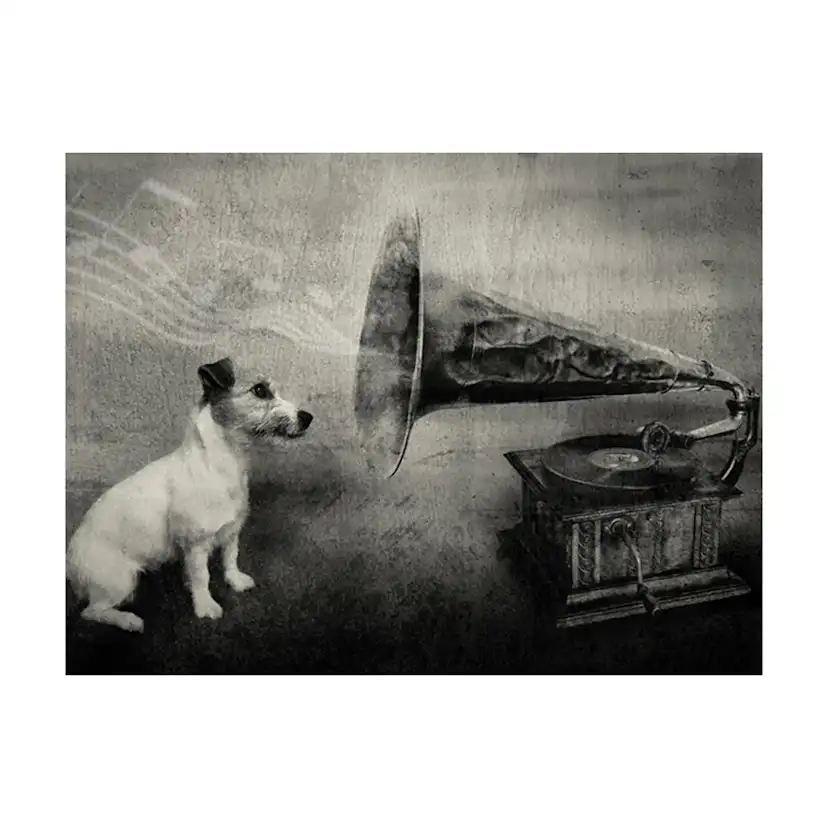 Fototapet Arkiio Dog's Melodies