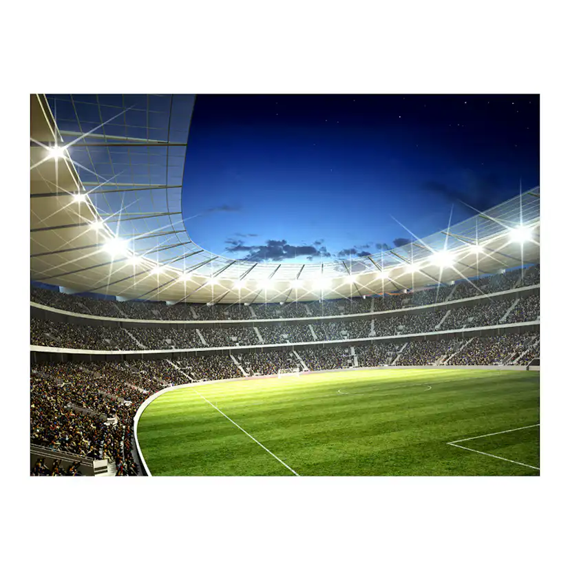Fototapet Arkiio National Stadium
