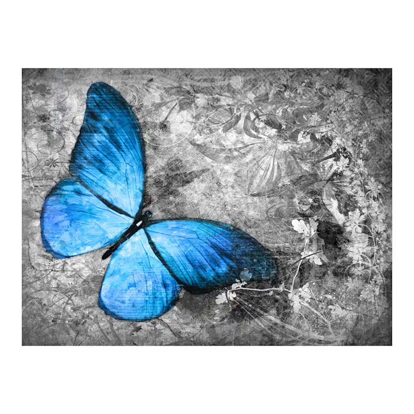 Fototapet Arkiio Blue Butterfly