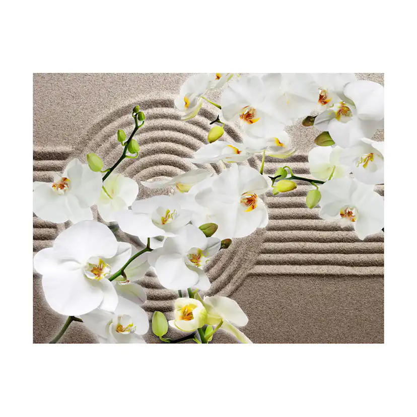 Fototapet Arkiio Beautiful Zen Garden