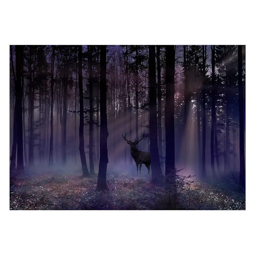 Fototapet Arkiio Mystical Forest Arkiio Second Variant