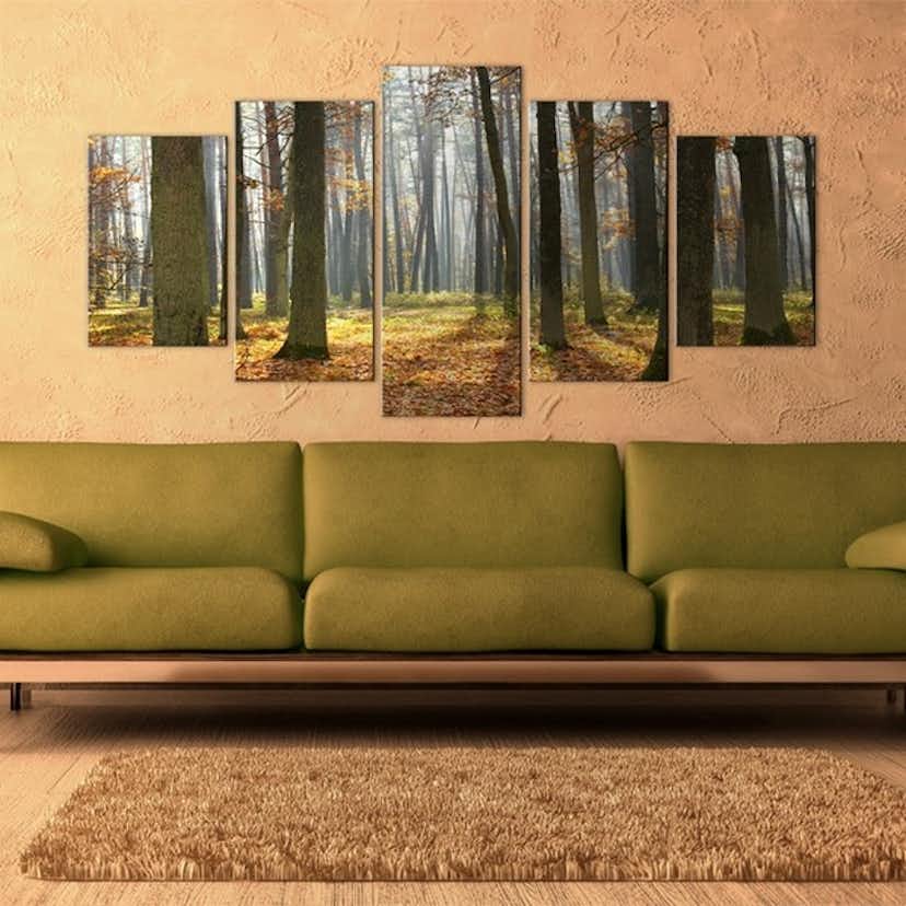 Tavla Arkiio A Nice Forest Landscape