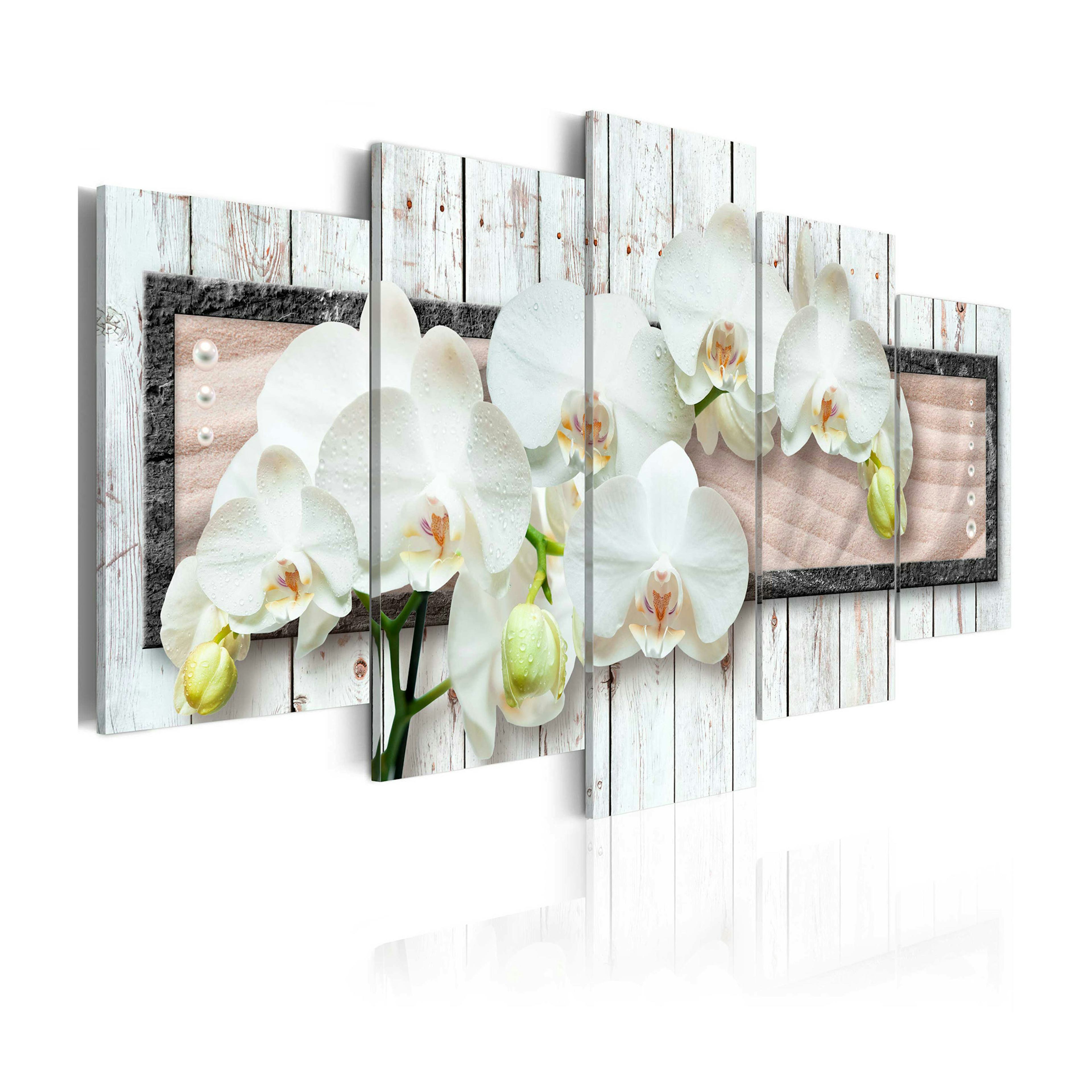 Tavla Arkiio  Summer Dream