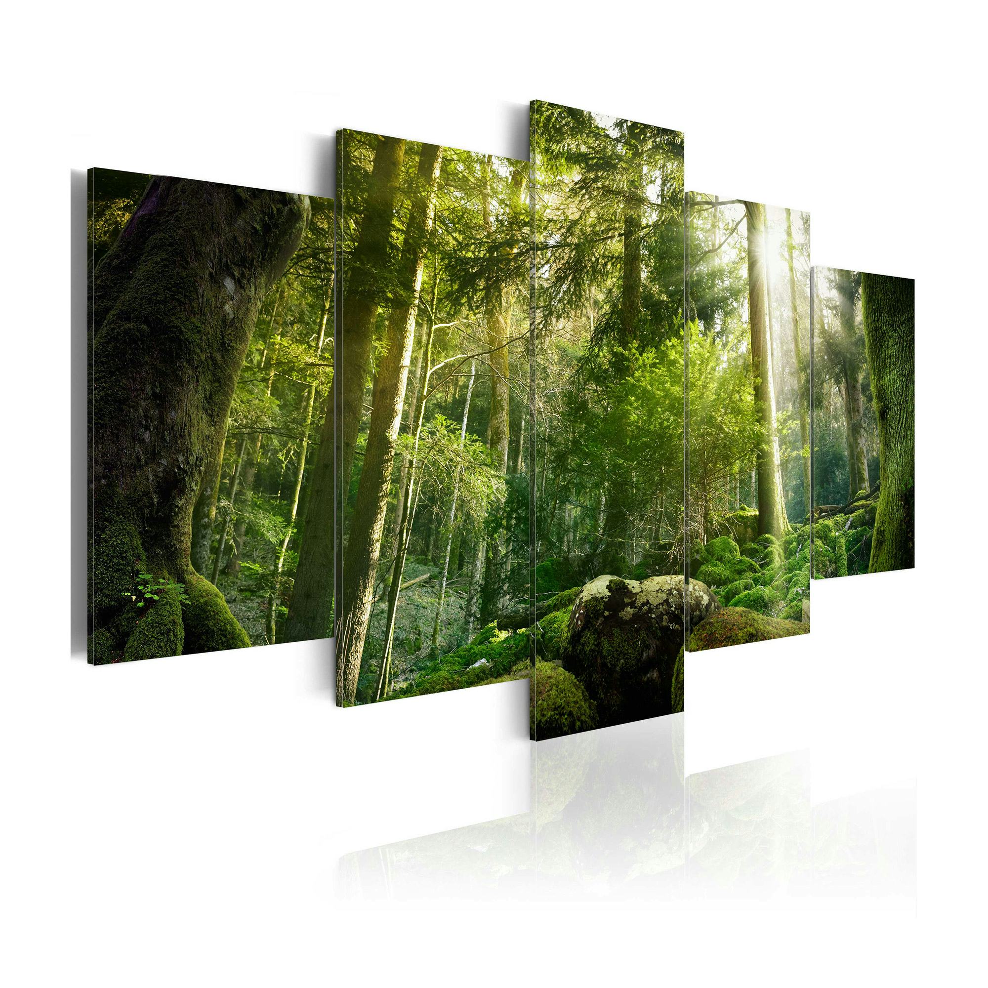 Tavla Arkiio The Beauty Of The Forest