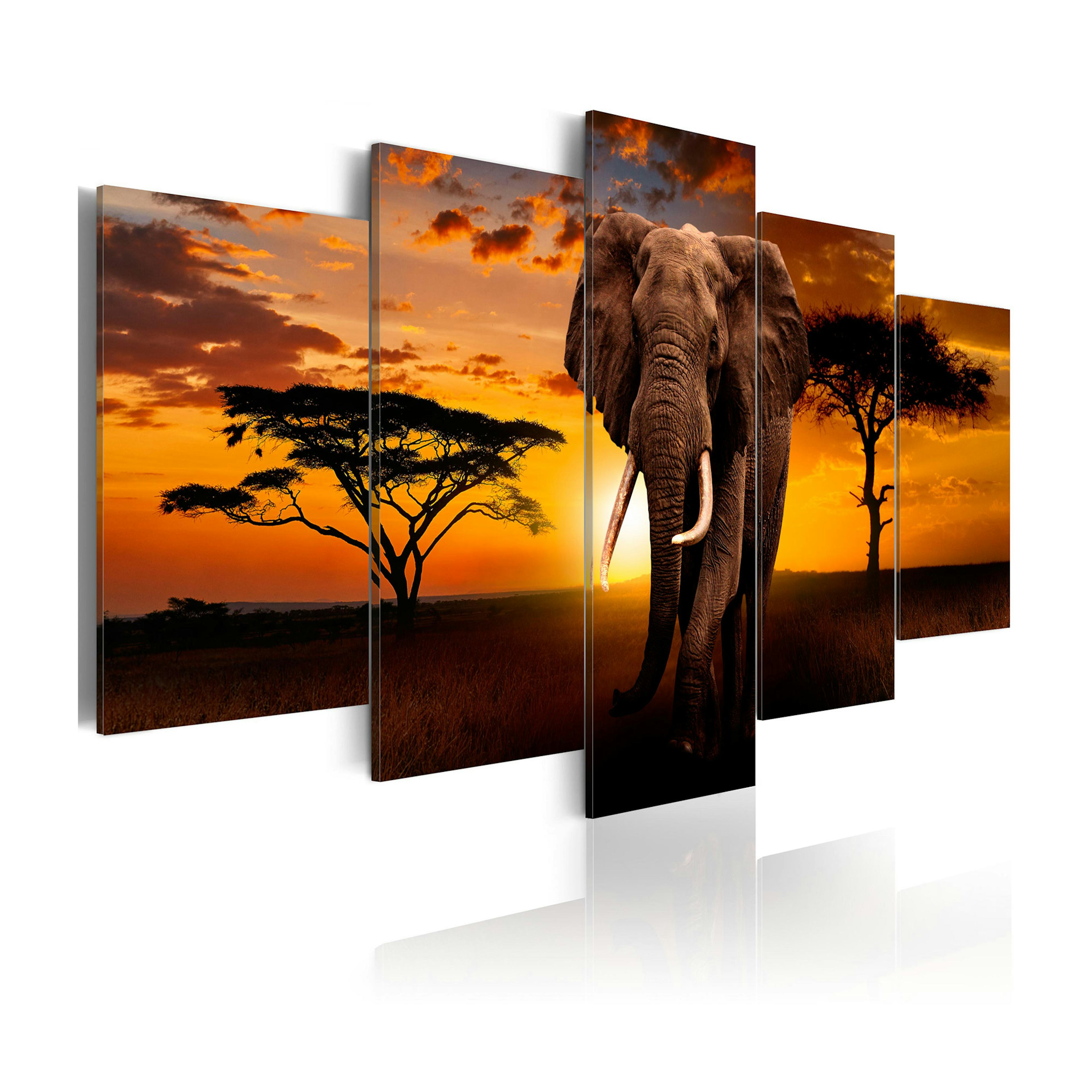 Tavla Arkiio The Savannah King