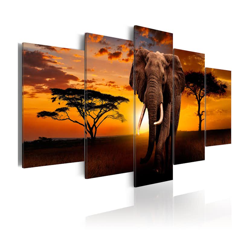 Tavla Arkiio The Savannah King