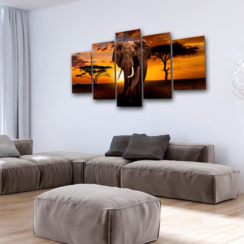 Tavla Arkiio The Savannah King