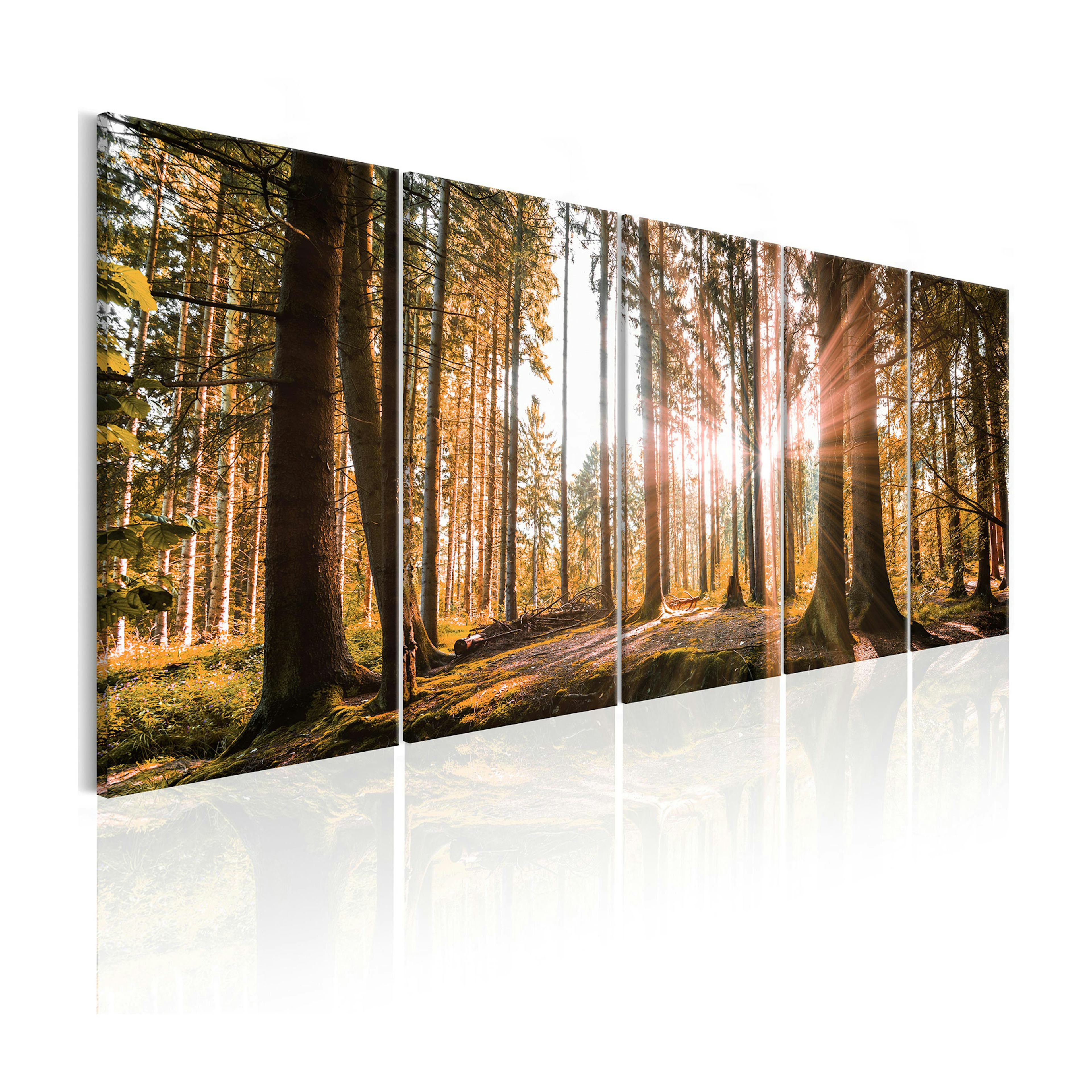 Tavla Arkiio Beauty Of Nature