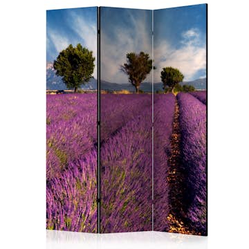 Rumsavdelare Arkiio Lavender Field In Provence France 135x172 cm
