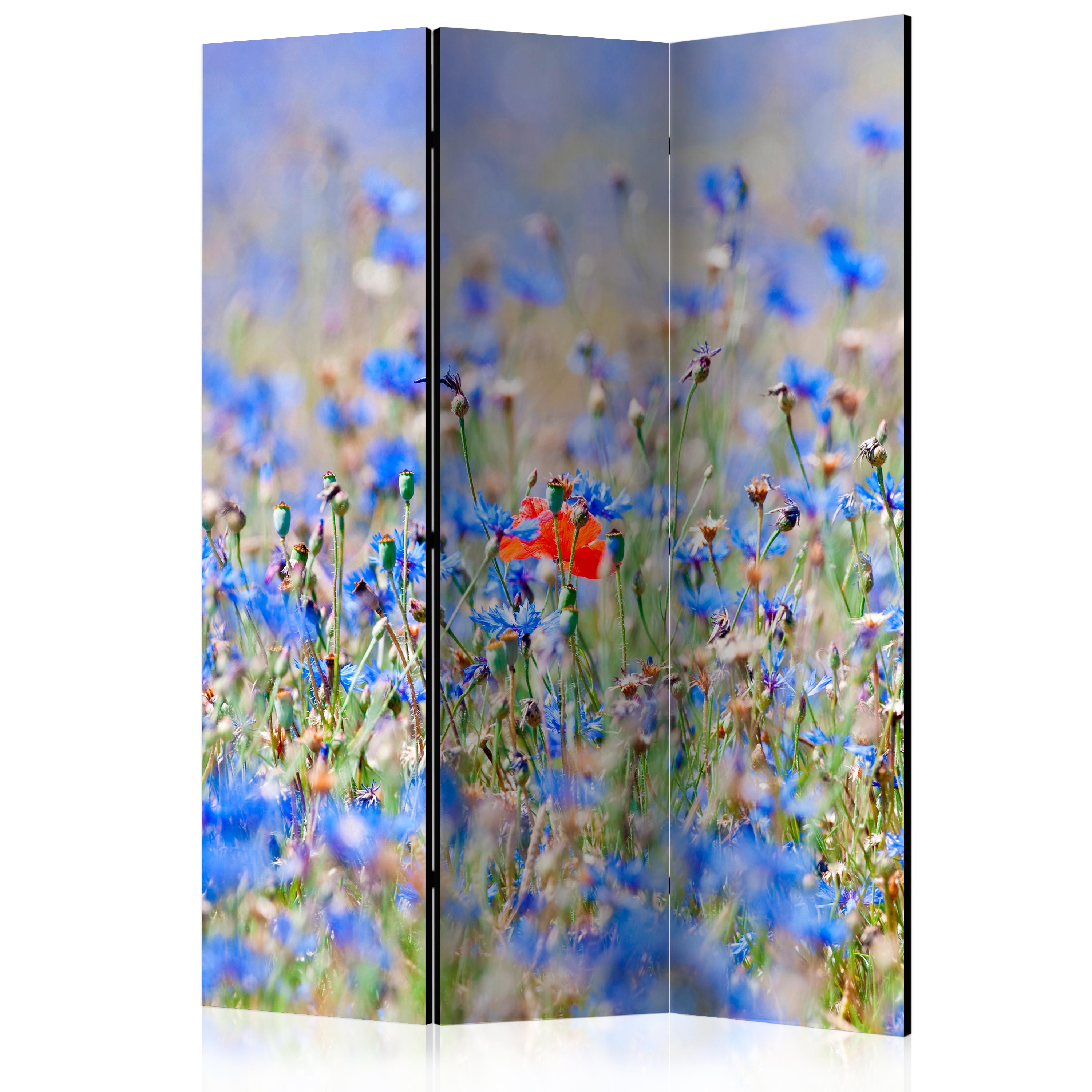 Rumsavdelare Arkiio A Sky-Colored Meadow Cornflowers 135x172 cm