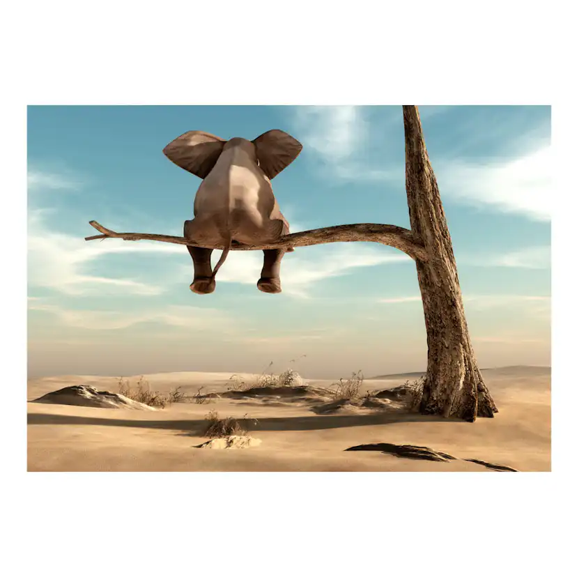 Fototapet Arkiio Elephant On The Tree