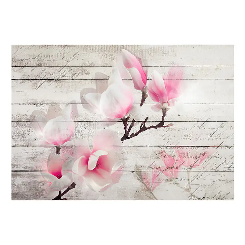 Fototapet Arkiio Gentleness Of The Magnolia