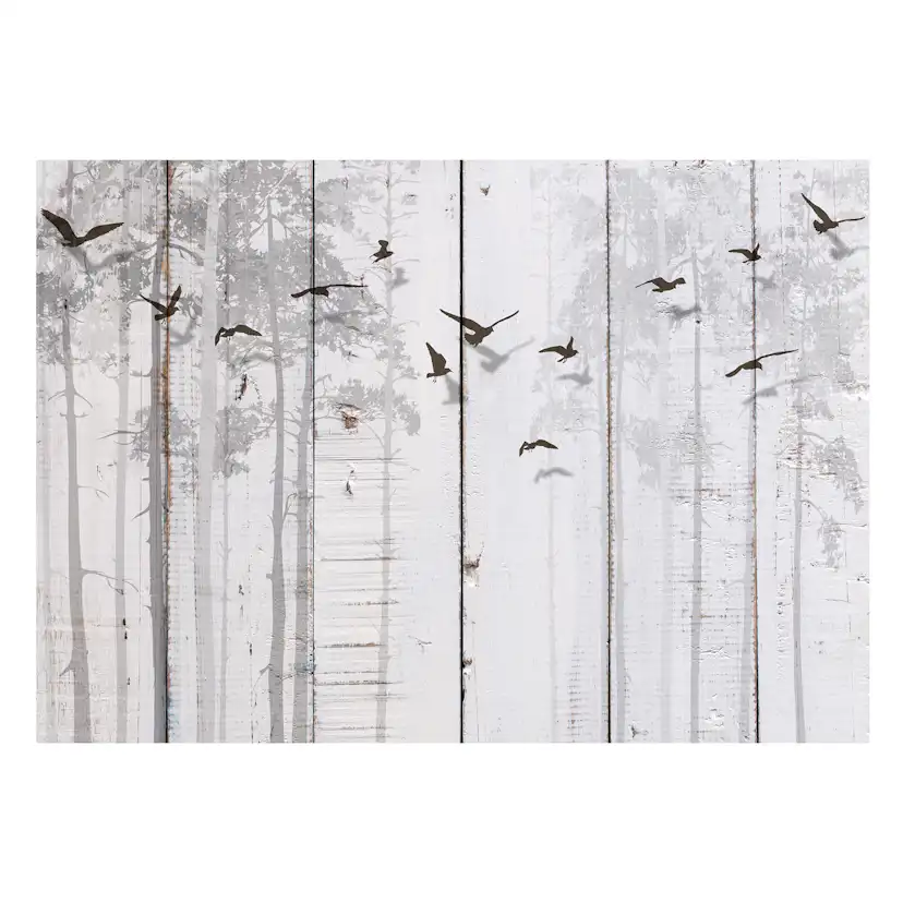 Fototapet Arkiio Birds On Boards