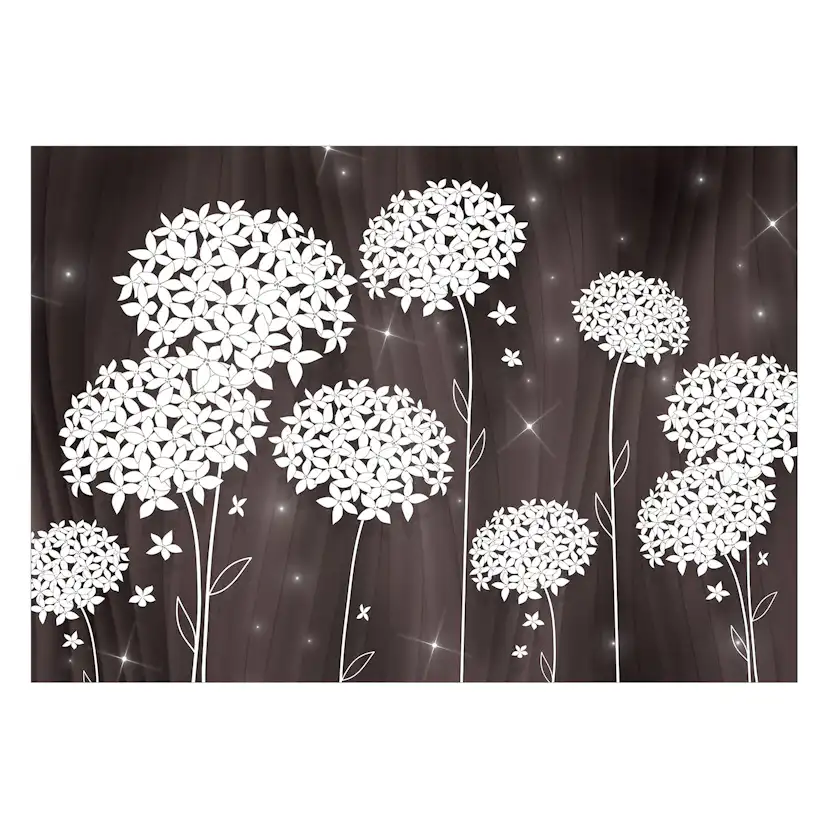 Fototapet Arkiio Magical Composition