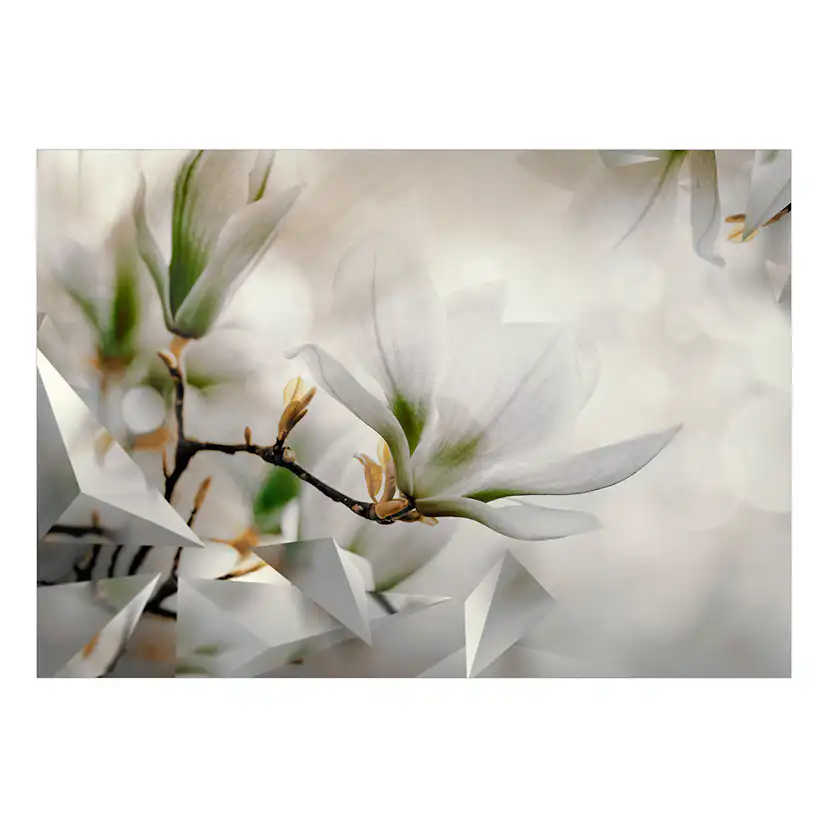 Fototapet Arkiio Subtle Magnolias - Second Variant