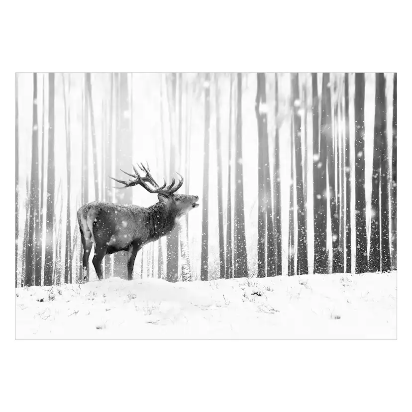 Fototapet Arkiio Deer In The Snow Svart/Vit