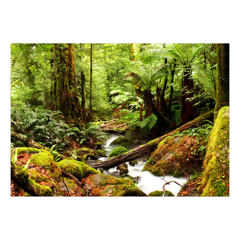 Fototapet Arkiio Forest Brook Självhäftande