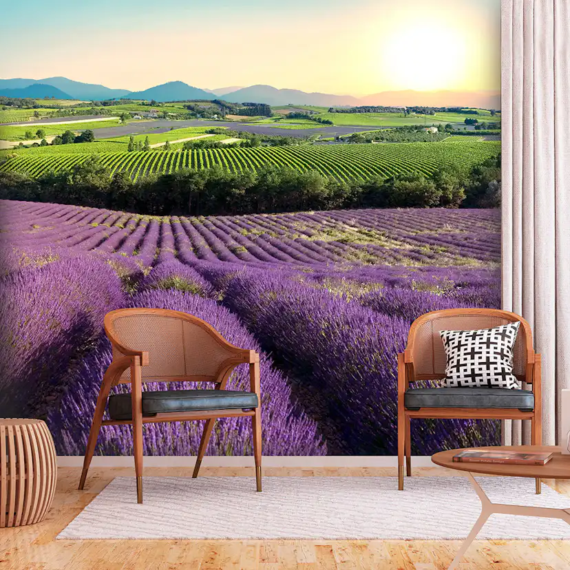 Fototapet Arkiio Lavender Field Självhäftande