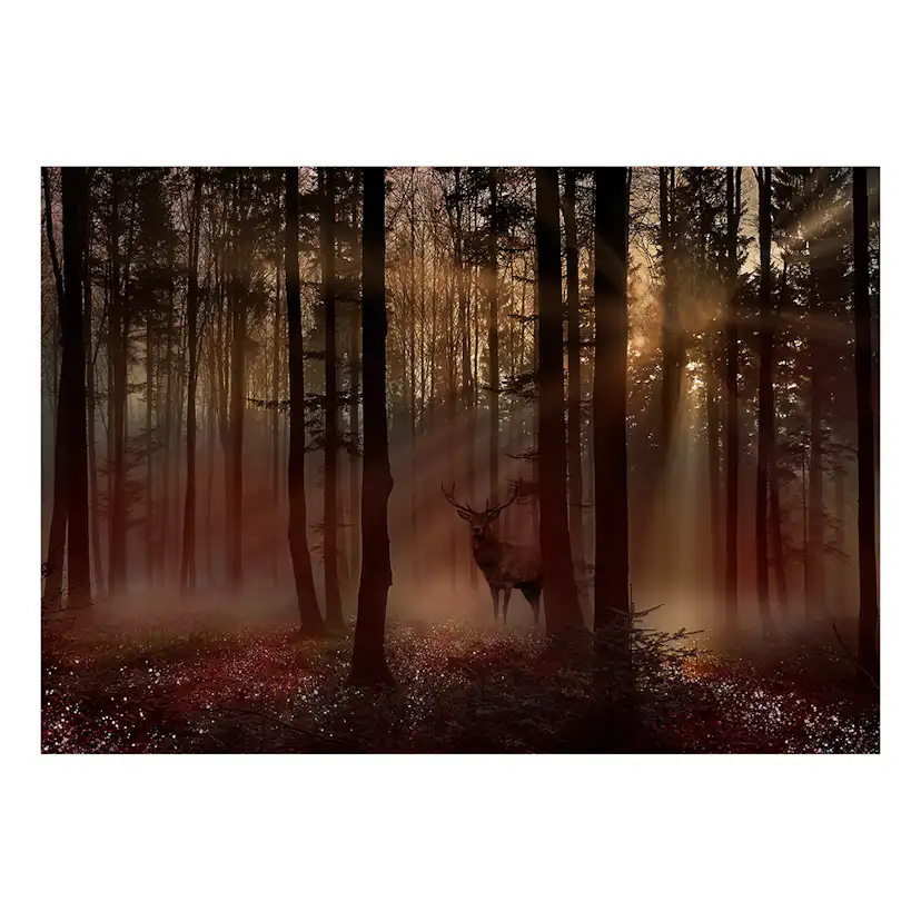 Fototapet Arkiio Mystical Forest - First Variant