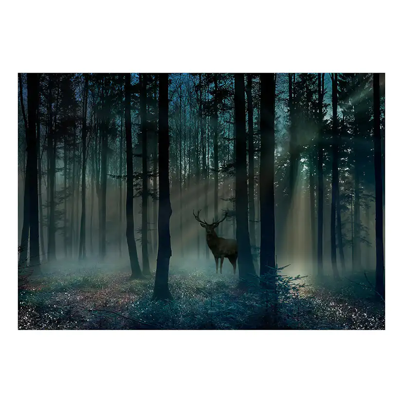 Fototapet Arkiio Mystical Forest - Third Variant