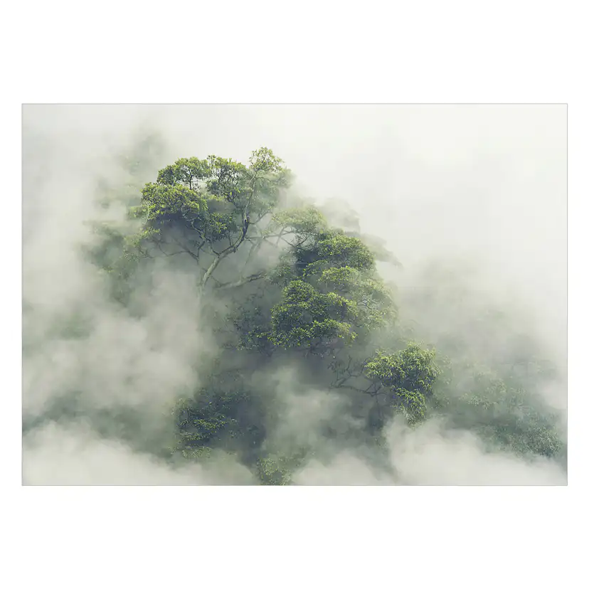 Fototapet Arkiio Foggy Amazon
