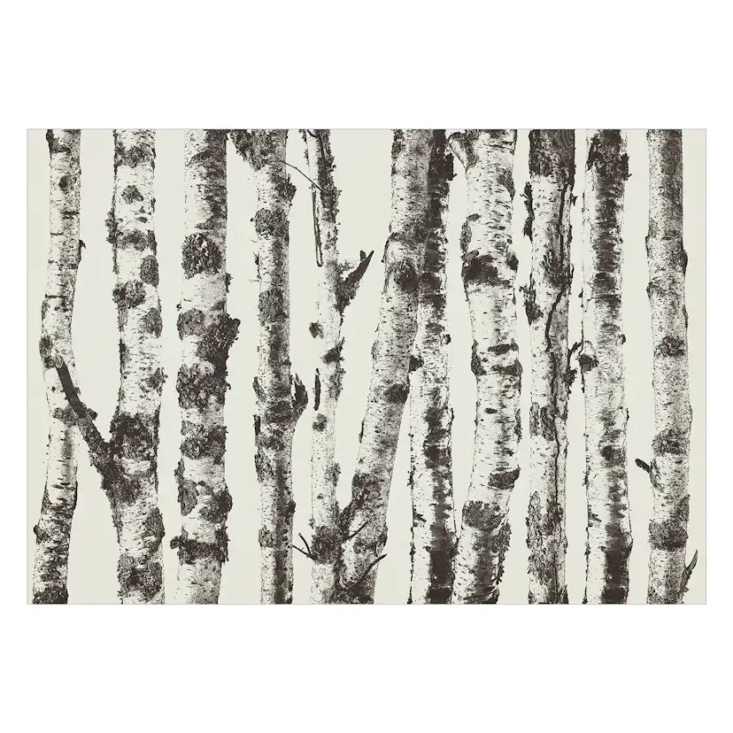 Fototapet Arkiio Stately Birches Arkiio First Variant