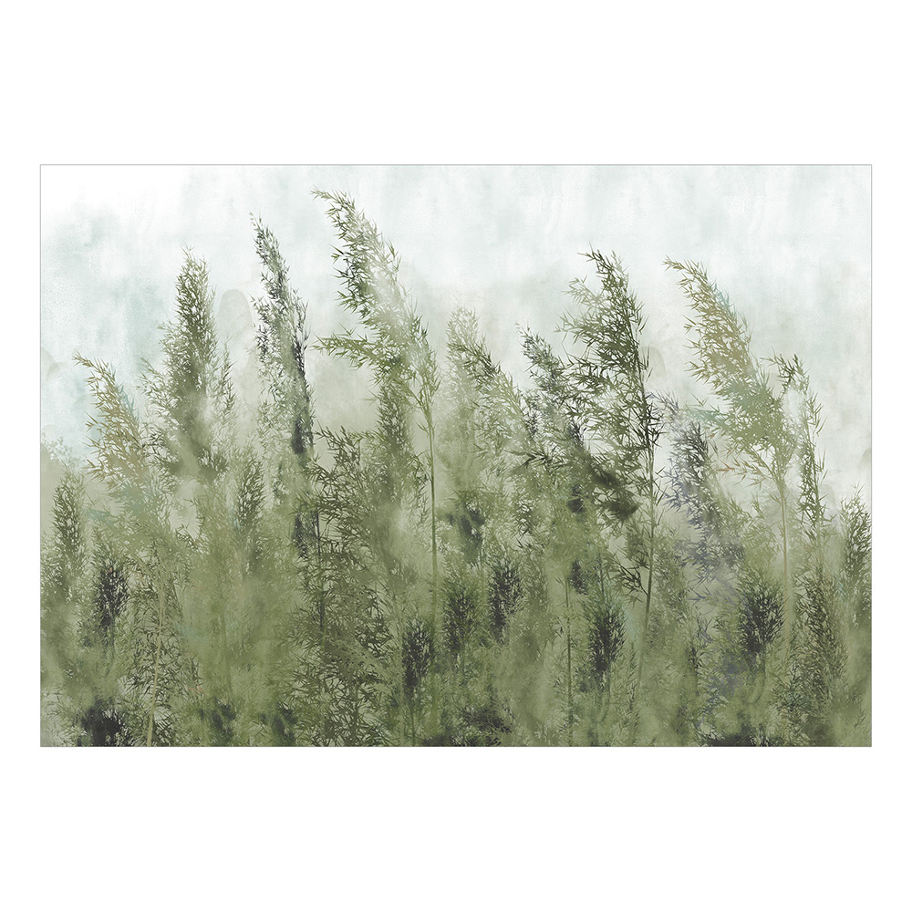 Fototapet Arkiio Tall Grasses - Green